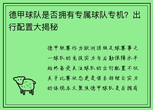 德甲球队是否拥有专属球队专机？出行配置大揭秘
